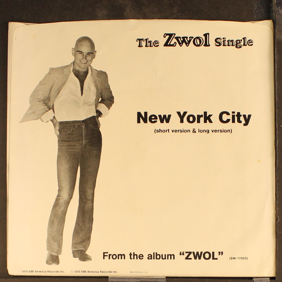 new york city by ZWOL