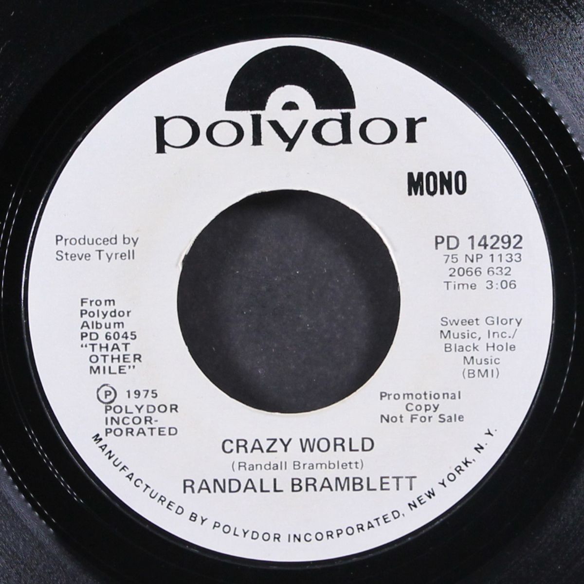 crazy world / mono by RANDALL BRAMBLETT