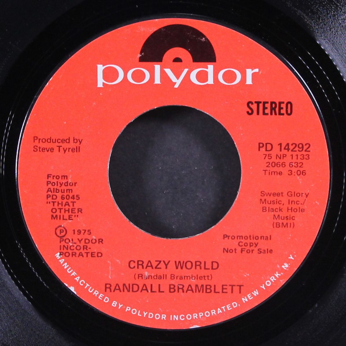 crazy world / mono by RANDALL BRAMBLETT
