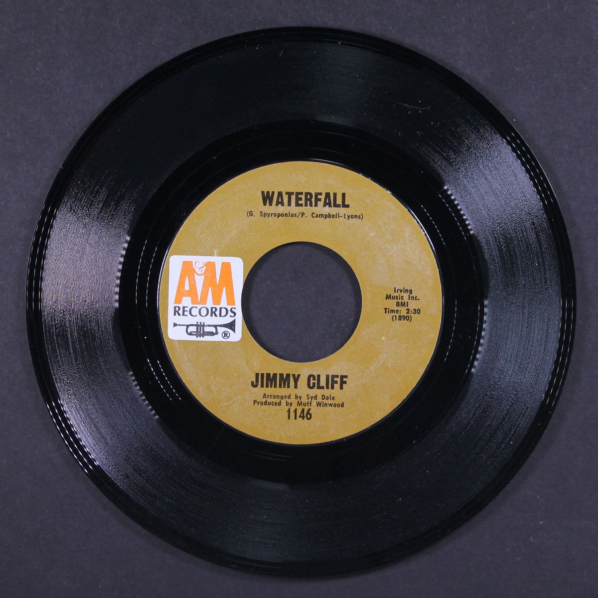 wonderful world, beautiful peoplew / waterfall by JIMMY CLIFF