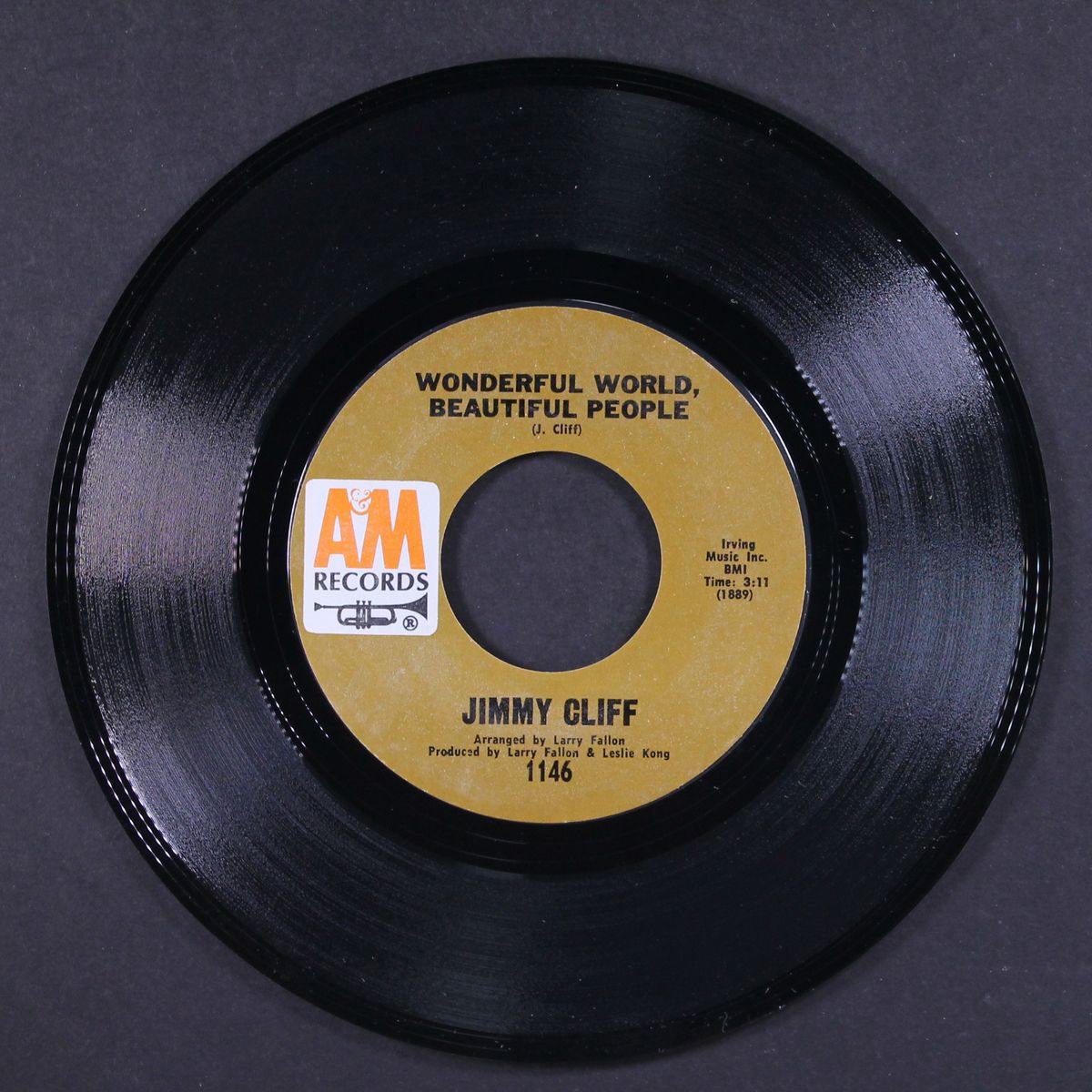 wonderful world, beautiful peoplew / waterfall by JIMMY CLIFF