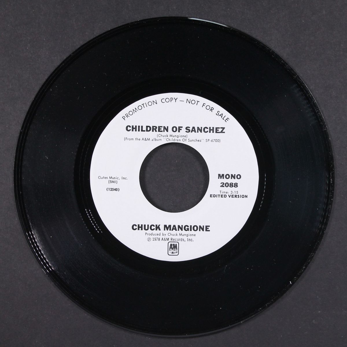 children of sanchez / mono by CHUCK MANGIONE