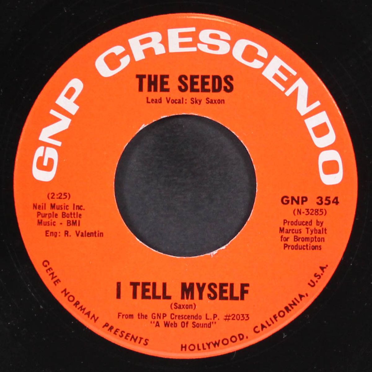 can't seem to make you mine / daisy mae by SEEDS
