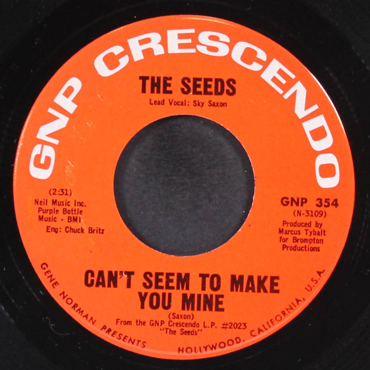 can't seem to make you mine / daisy mae by SEEDS