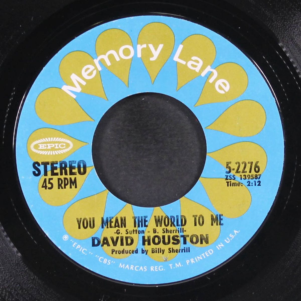 have a little faith / you mean the world to me by DAVID HOUSTON