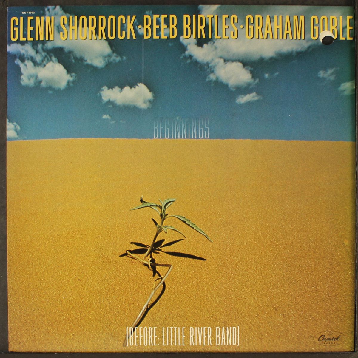 beginnings: before little river band by GLENN SHORROCK / BEEB BIRTLES / GRAHAM GOBLE