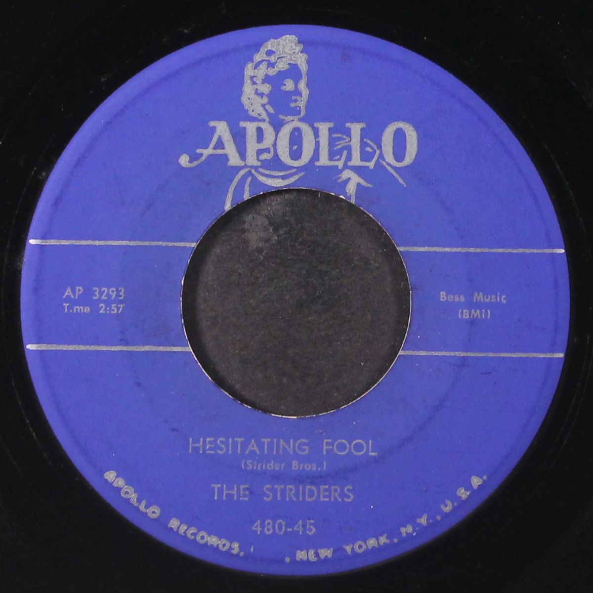 hesitating fool / i wonder by STRIDERS