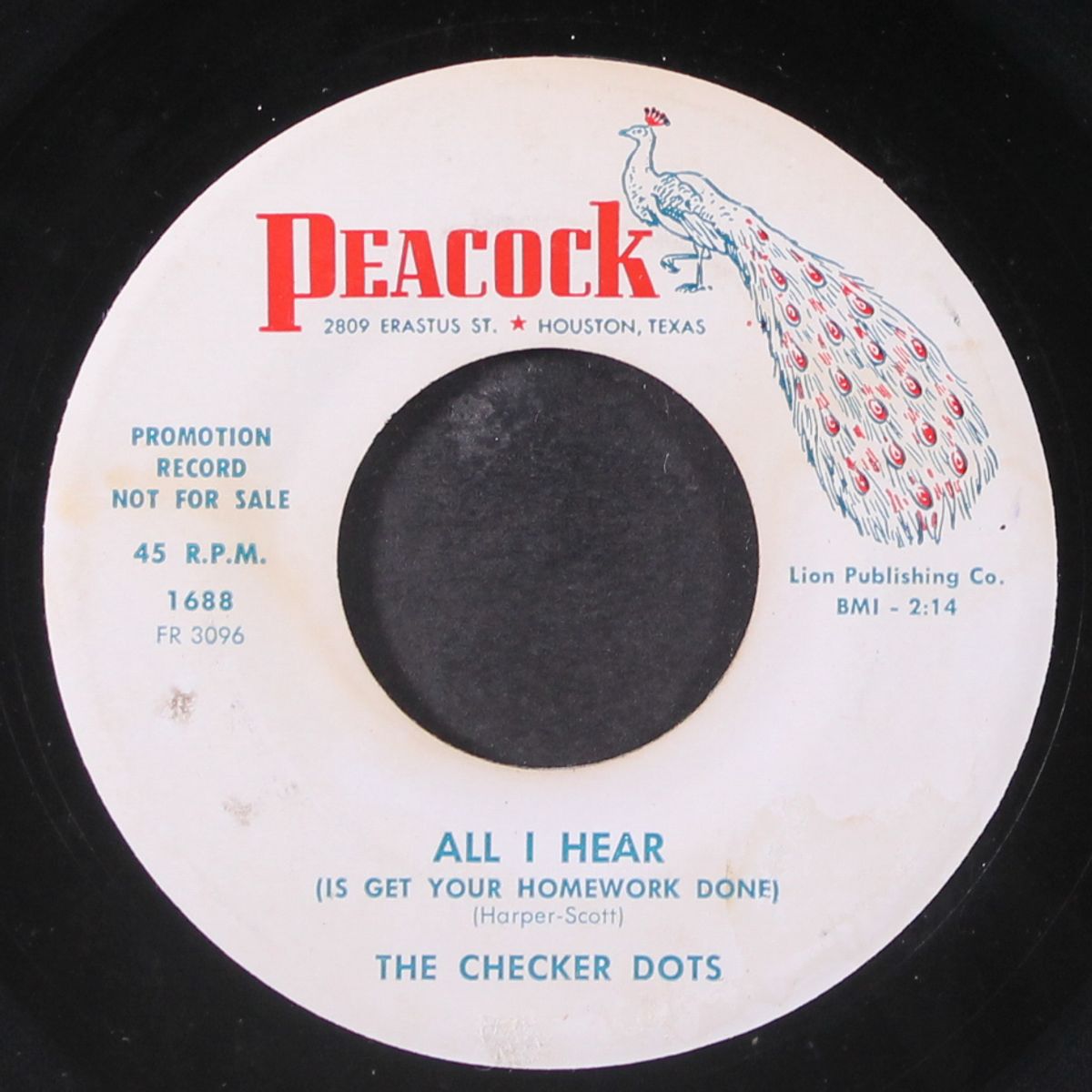 alpha omega / all i hear by CHECKER DOTS