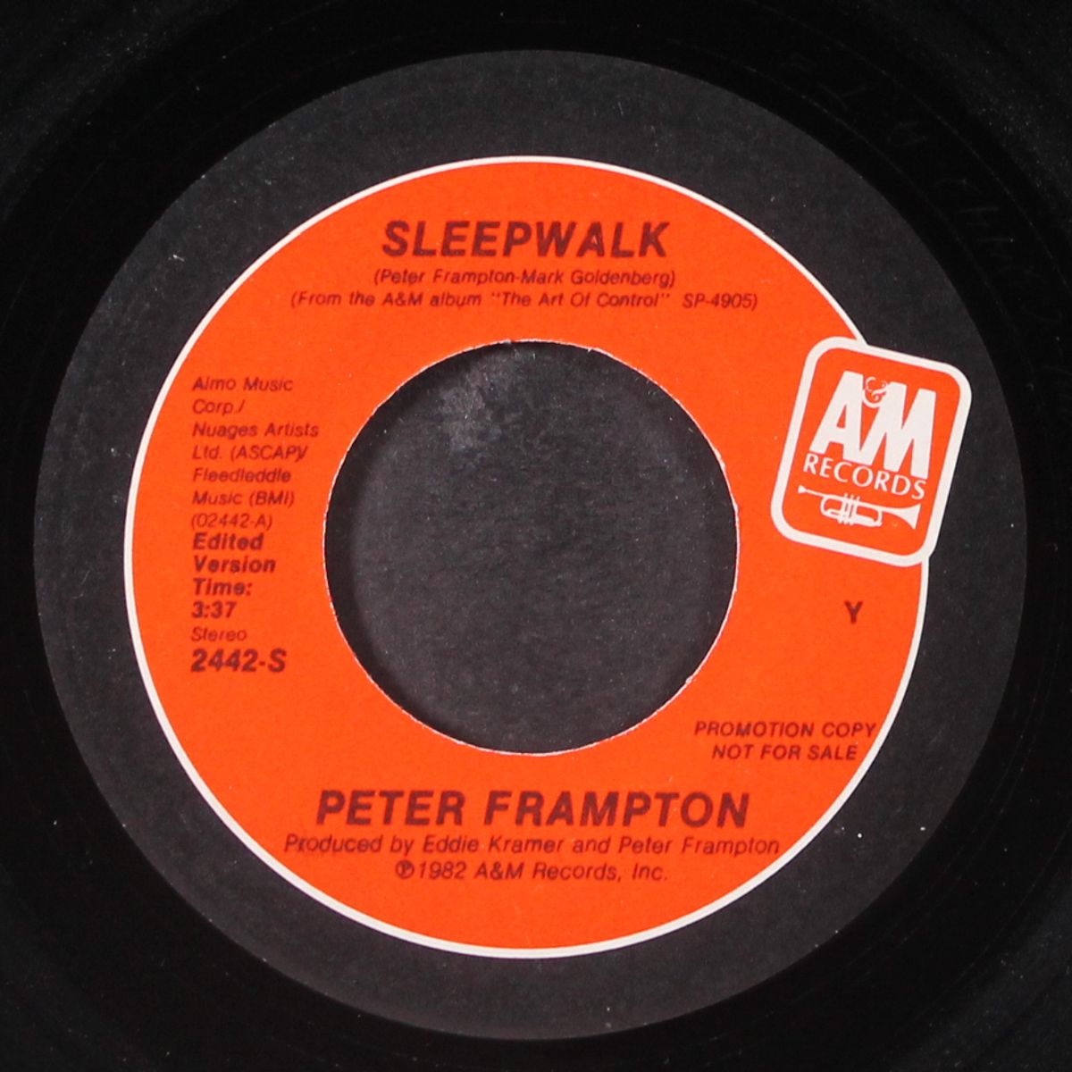 sleepwalk by PETER FRAMPTOM
