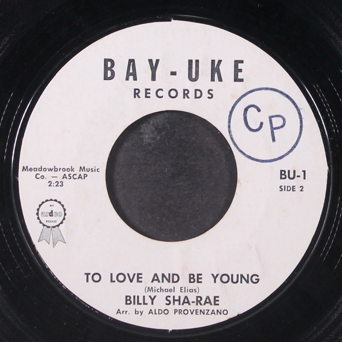 to love and be young / music to my ears by BILLY SHA-RAE