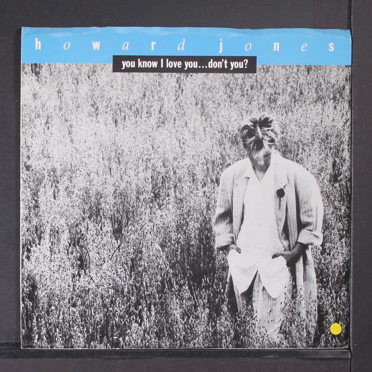 you know i love you ... don't you by HOWARD JONES