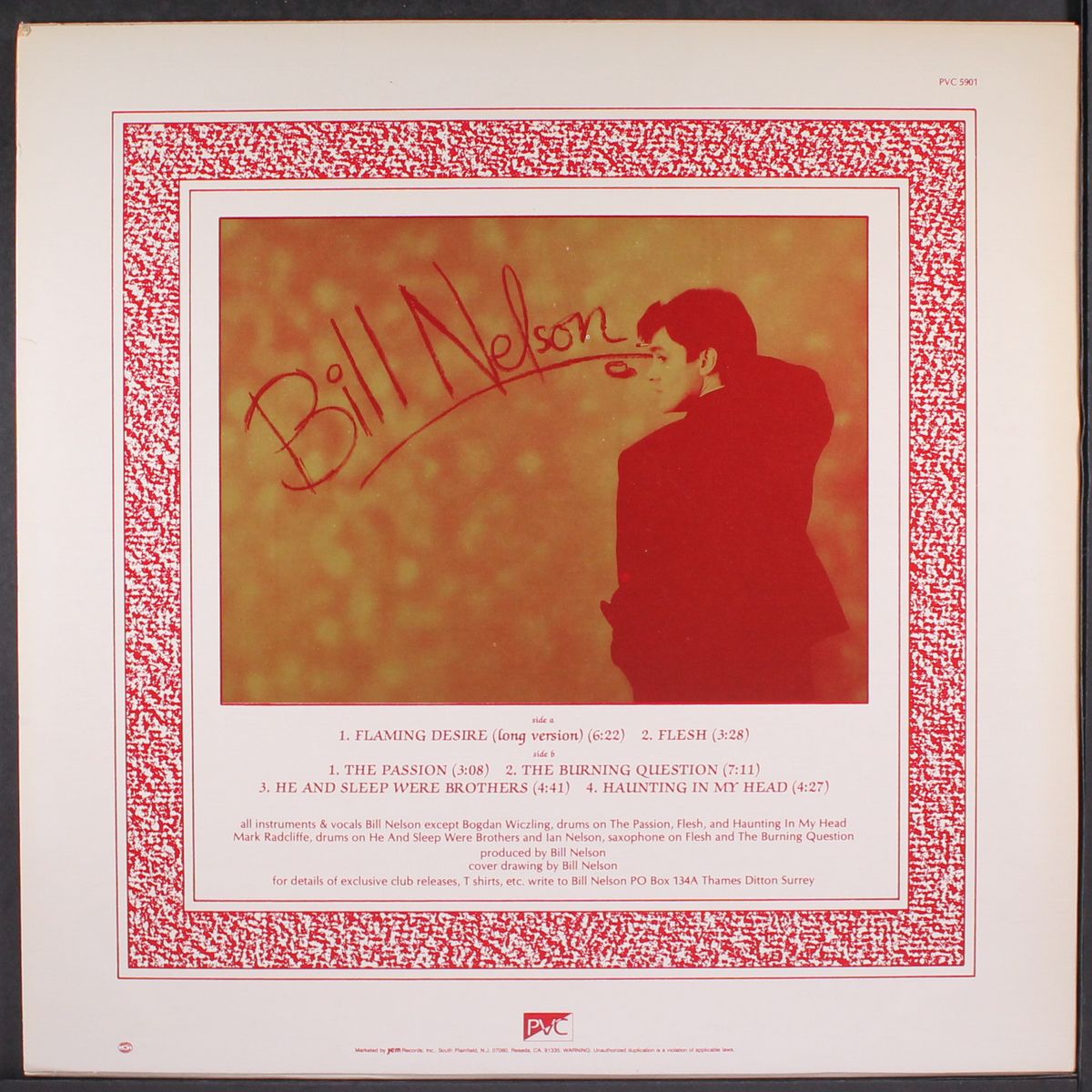 flaming desire & other passions by BILL NELSON