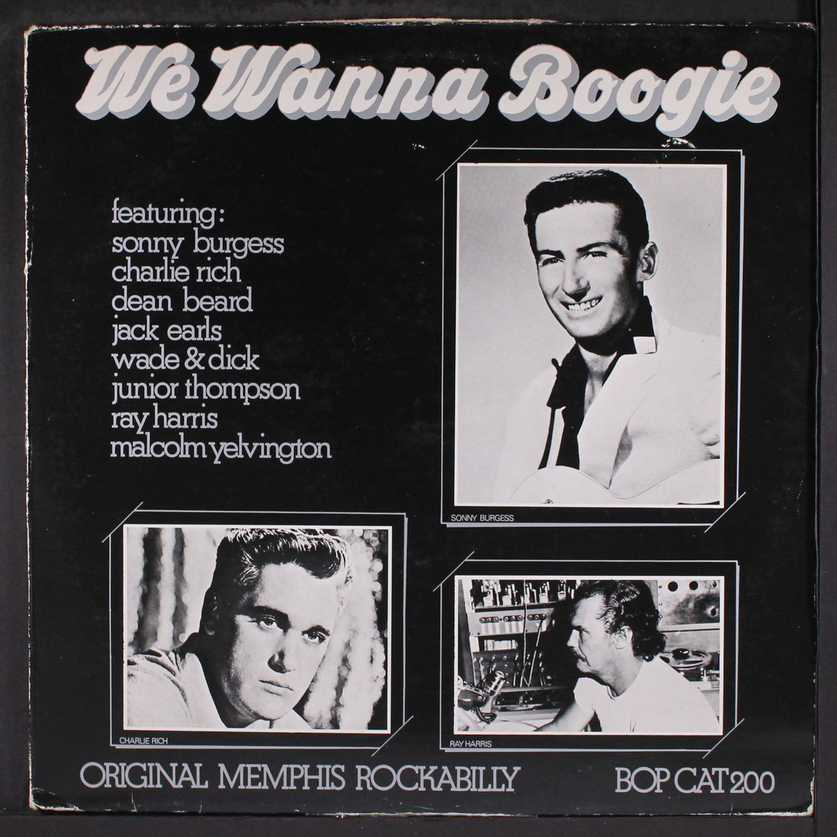 we wanna boogie by VARIOUS