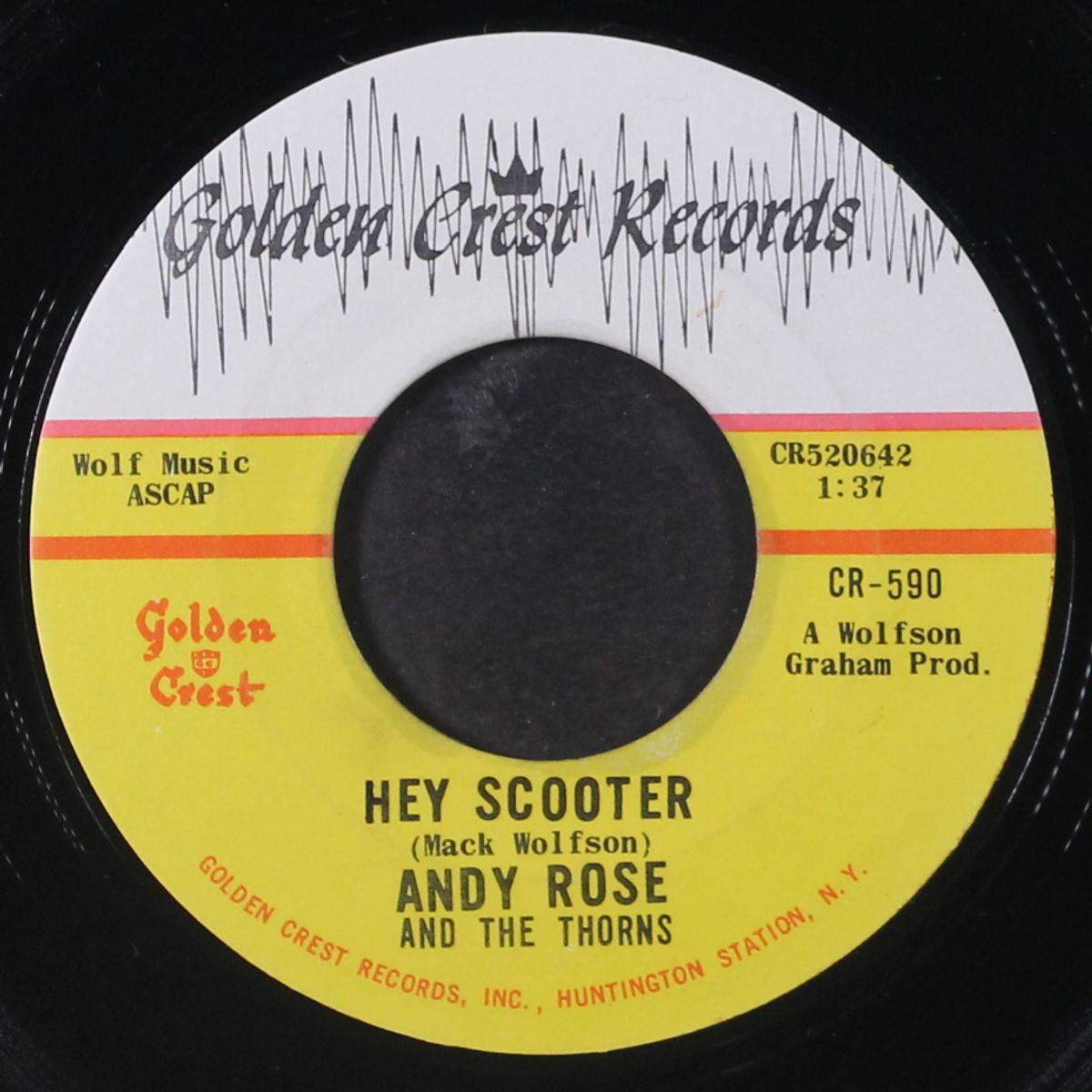 hey scooter / hooty sapperticker by ANDY ROSE & THORNS