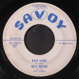 BILLY NELSON & FIVE WINGS