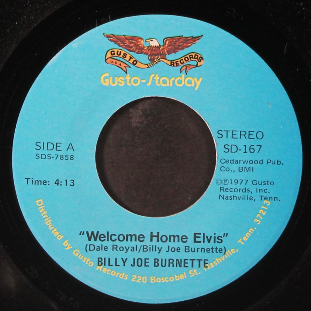 welcome home, elvis by BILLY JOE BURNETTE