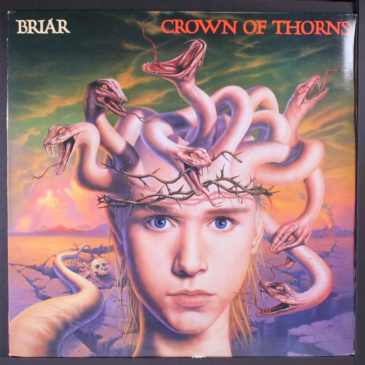 crown of thorns by BRIAR