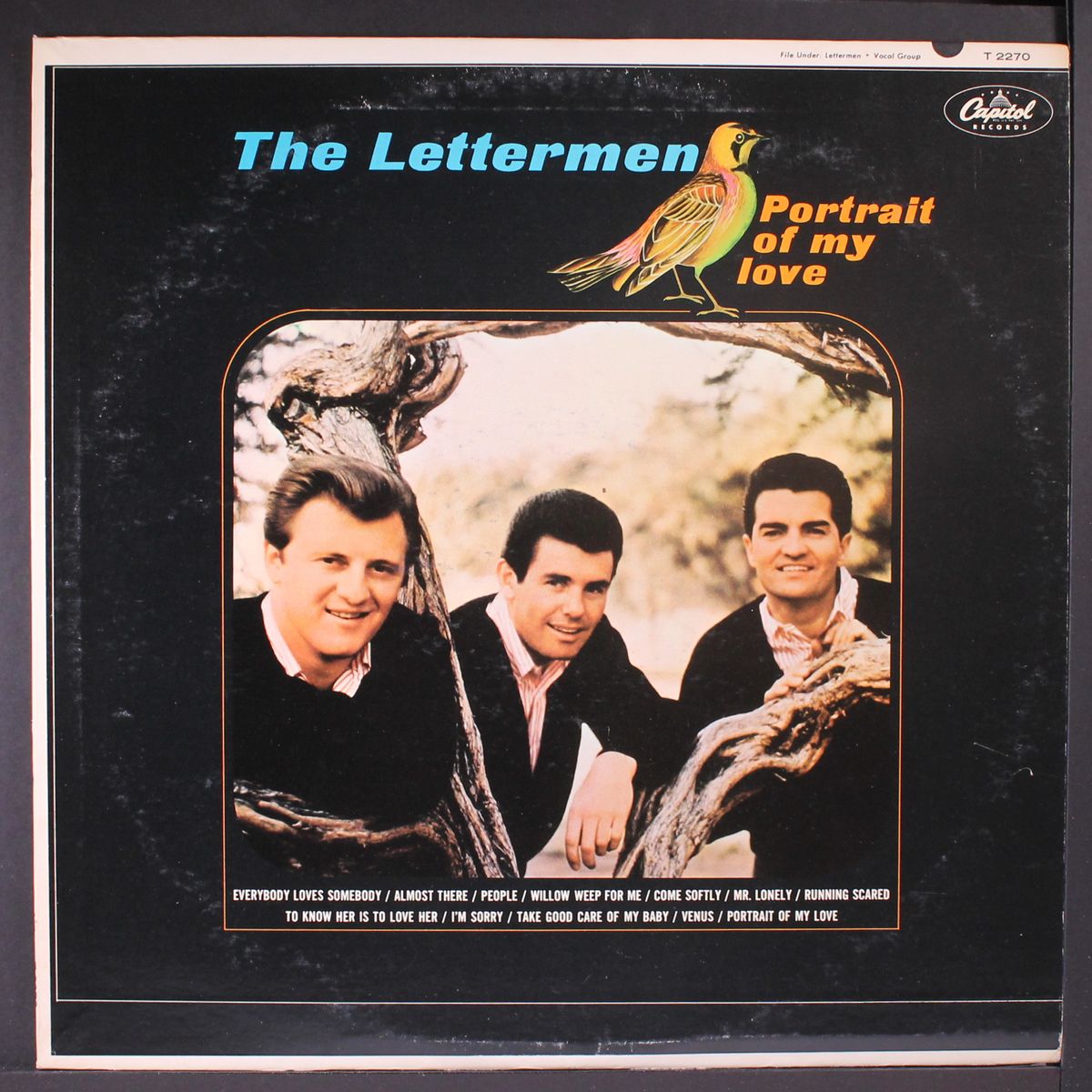 portrait of my love by LETTERMEN