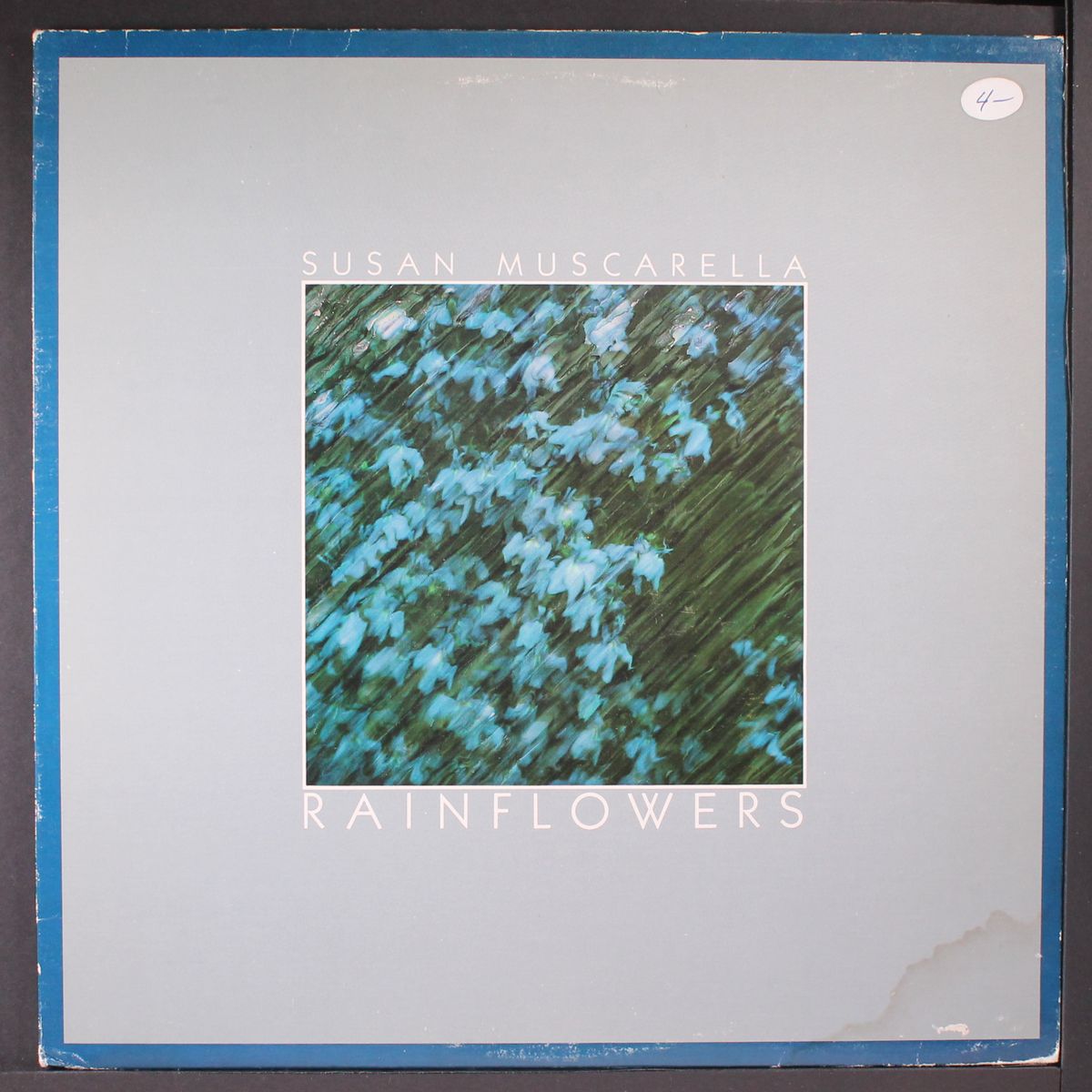rainflowers by SUSAN MUSCARELLA