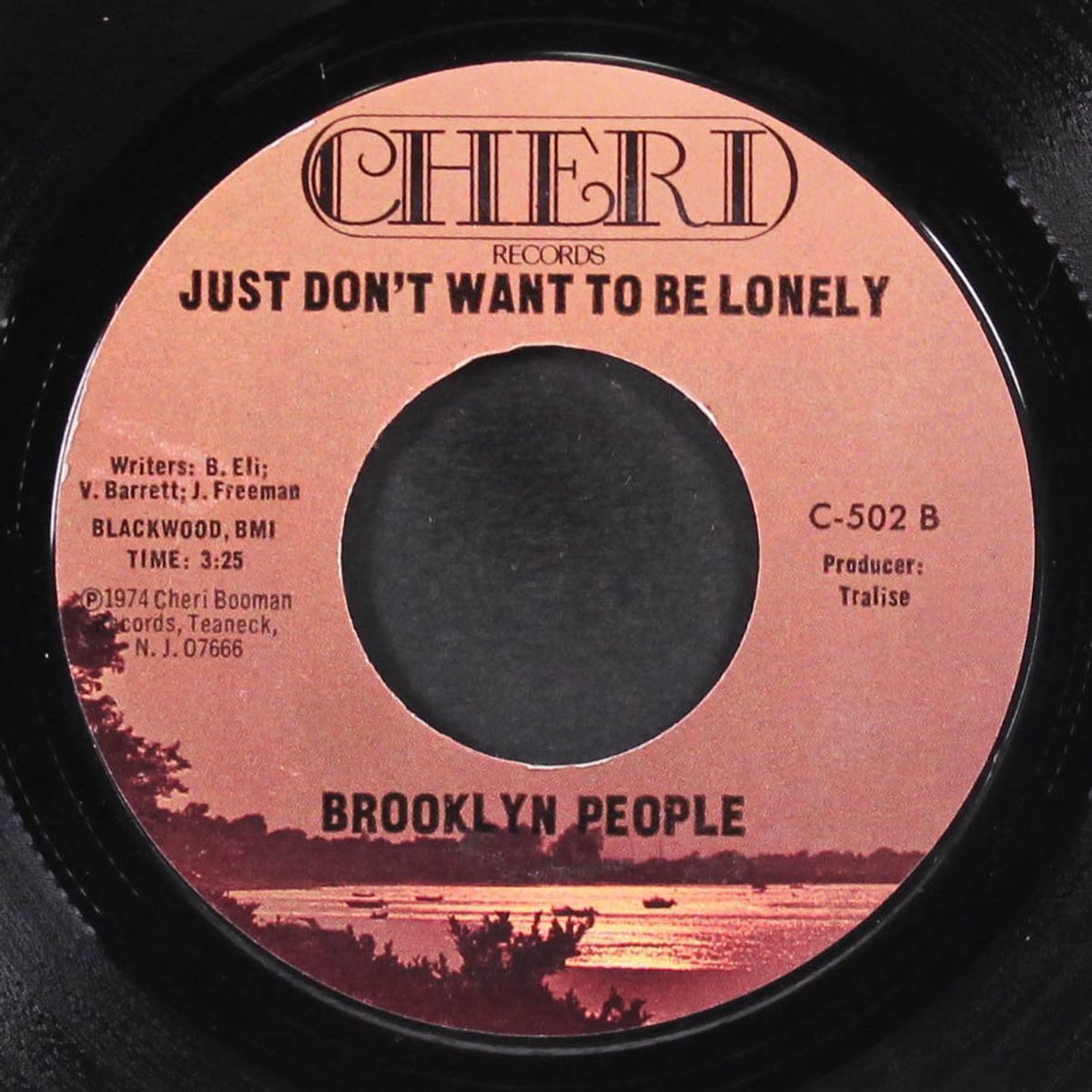 brooklyn express / just don't want to be lonely by BROOKLYN PEOPLE