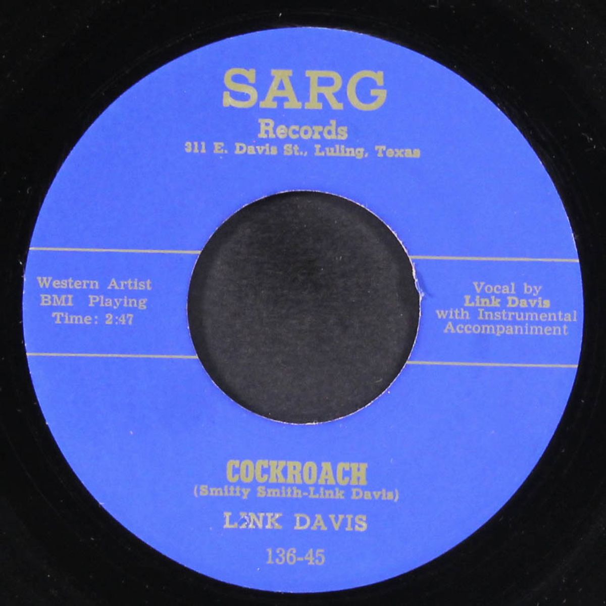 cockroach / big houston by LINK DAVIS