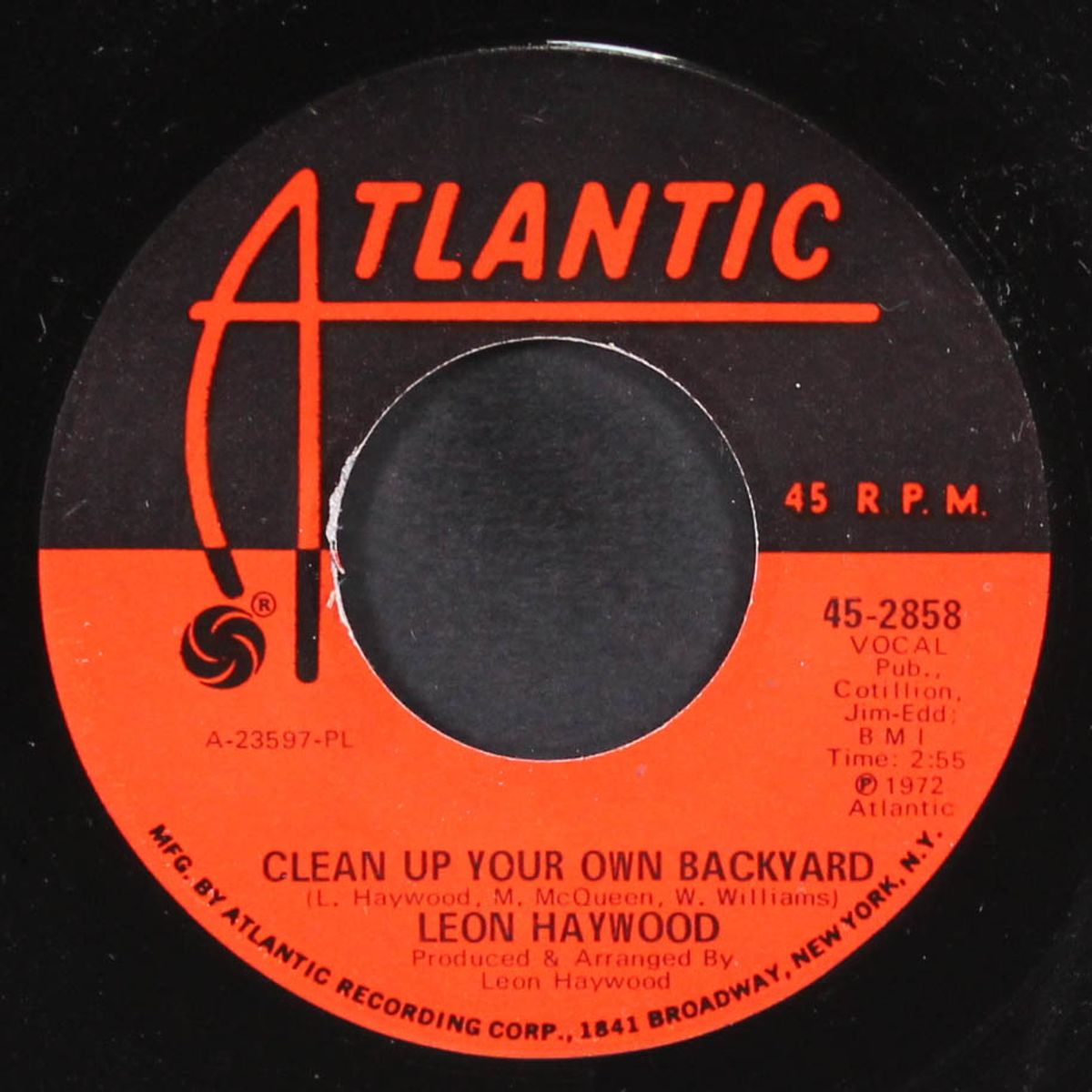 clean up your own backyard / string bean by LEON HAYWOOD