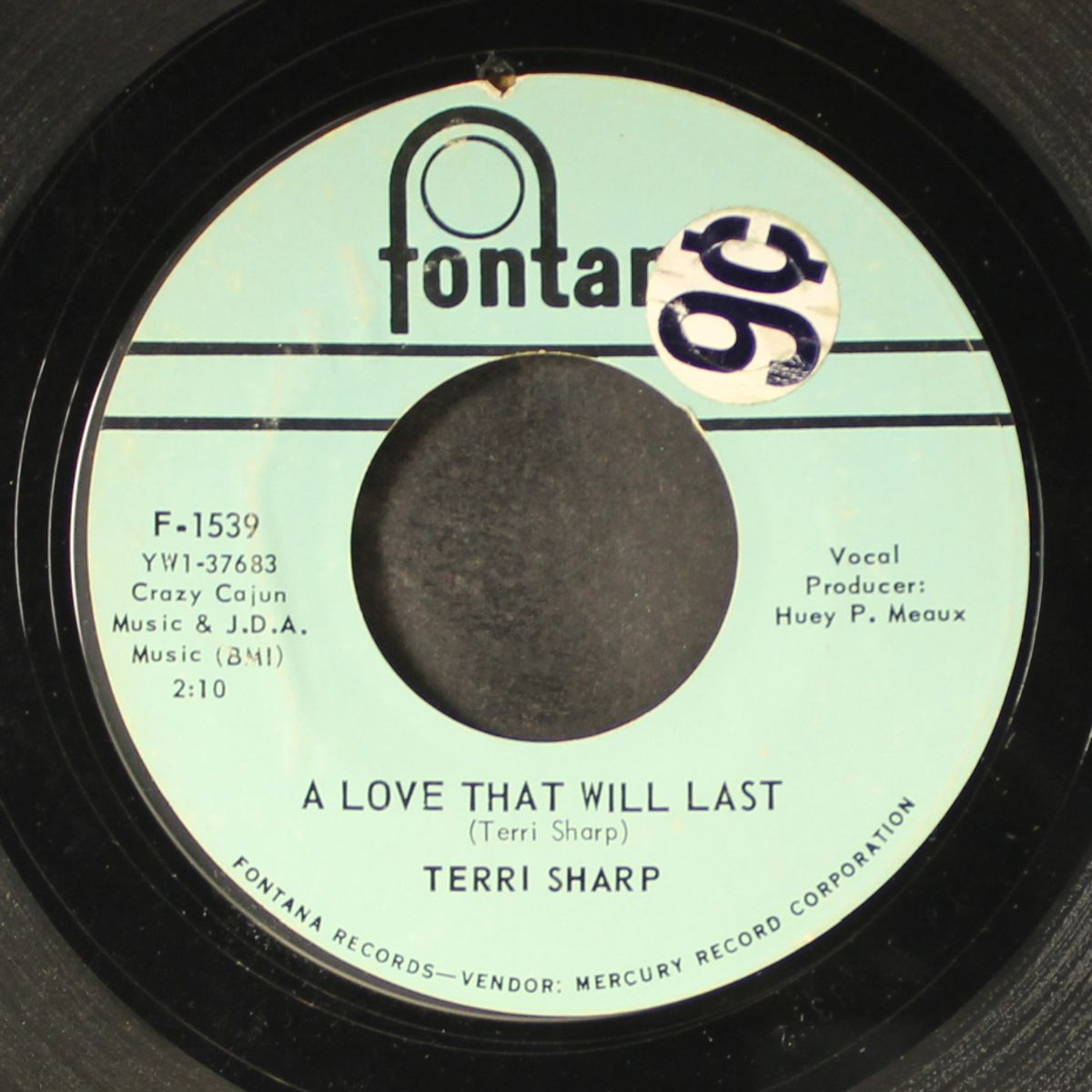 a love that will last / i'm young by TERRI SHARP