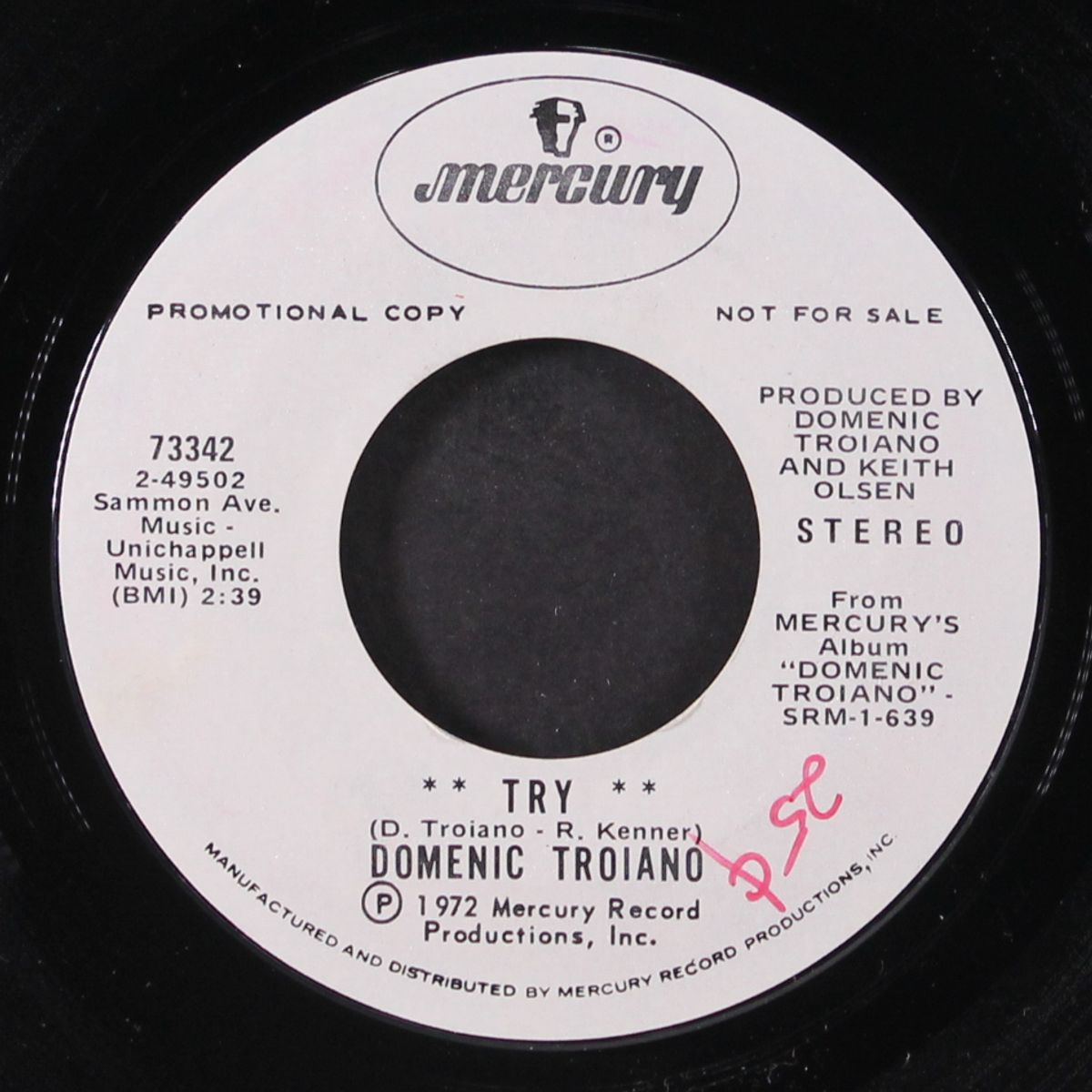 i just lost a friend / try by DOMENIC TROIANO