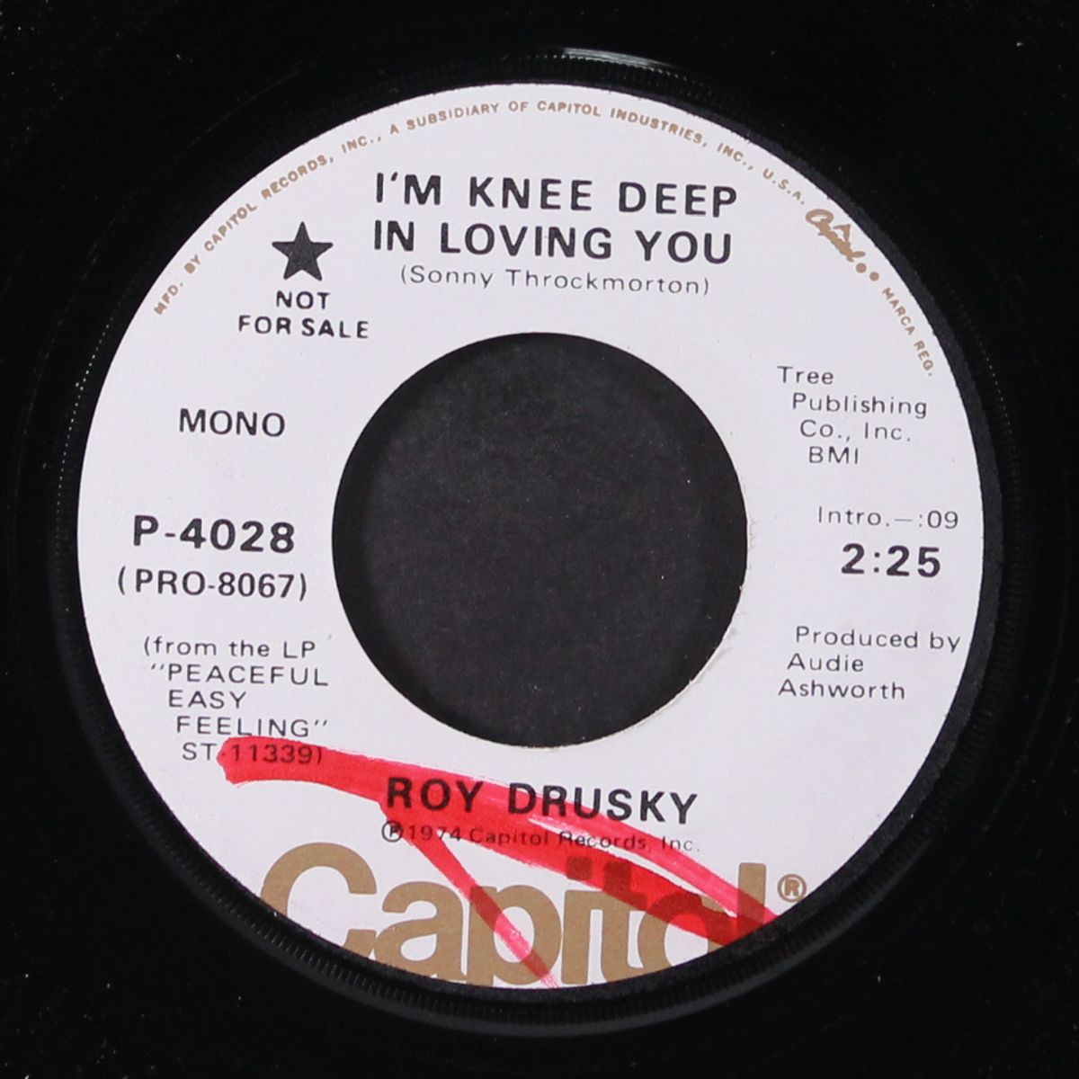 i'm knee deep in loving you / mono by ROY DRUSKY