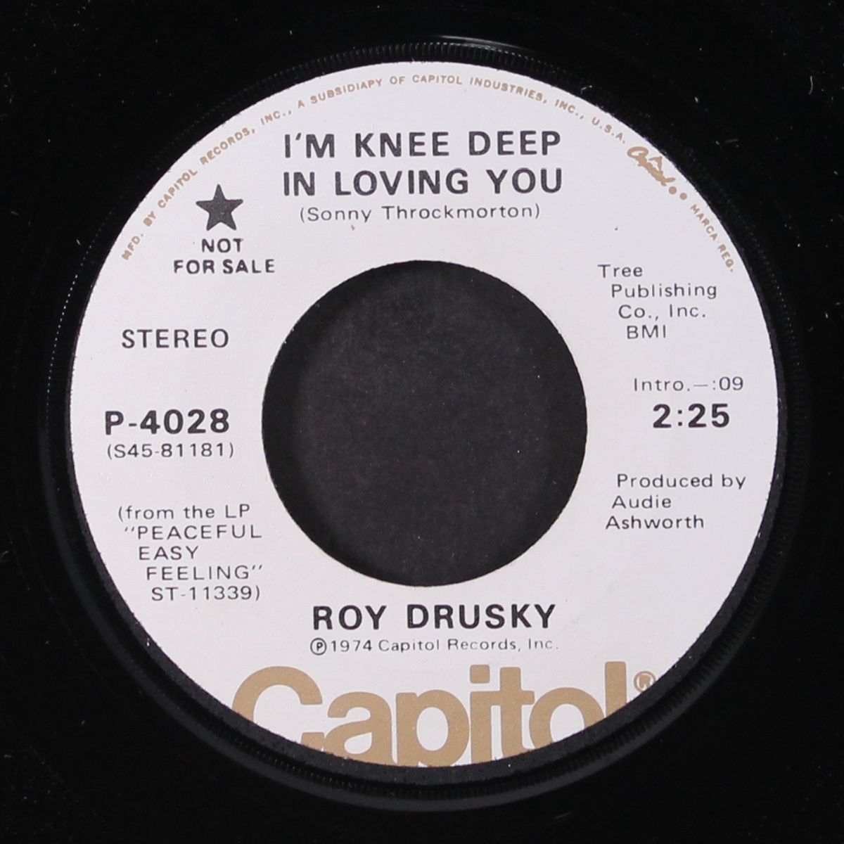 i'm knee deep in loving you / mono by ROY DRUSKY