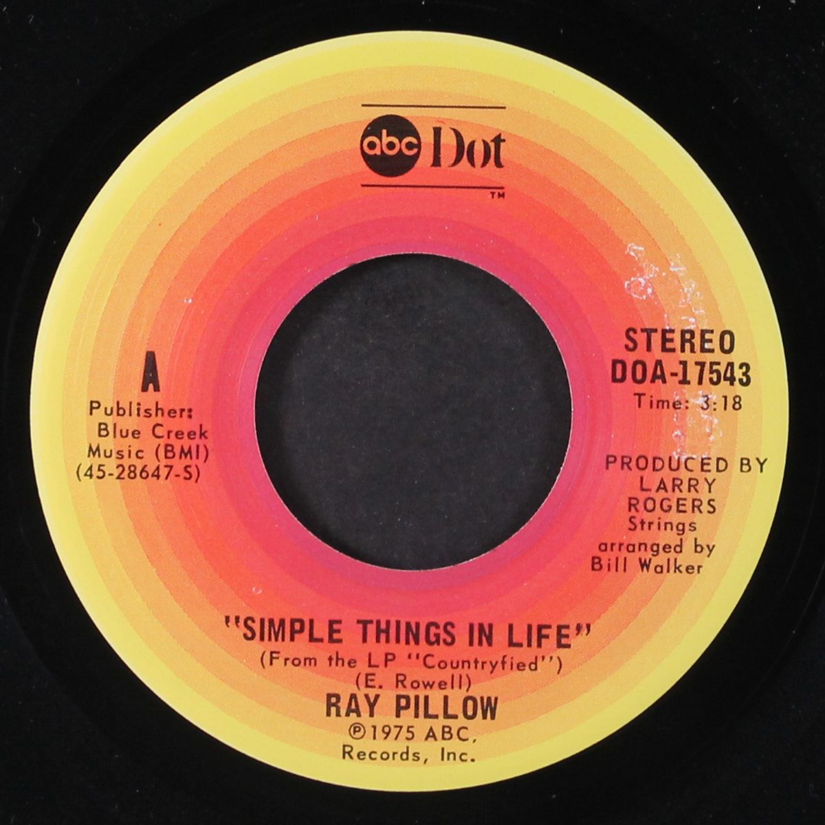 simple things in life / i slipped but didn't fall by RAY PILLOW