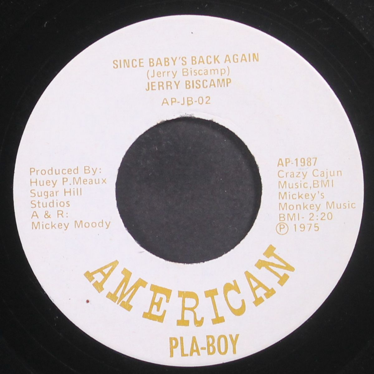 you're the one i love tonight / since baby's back again by JERRY BISCAMP