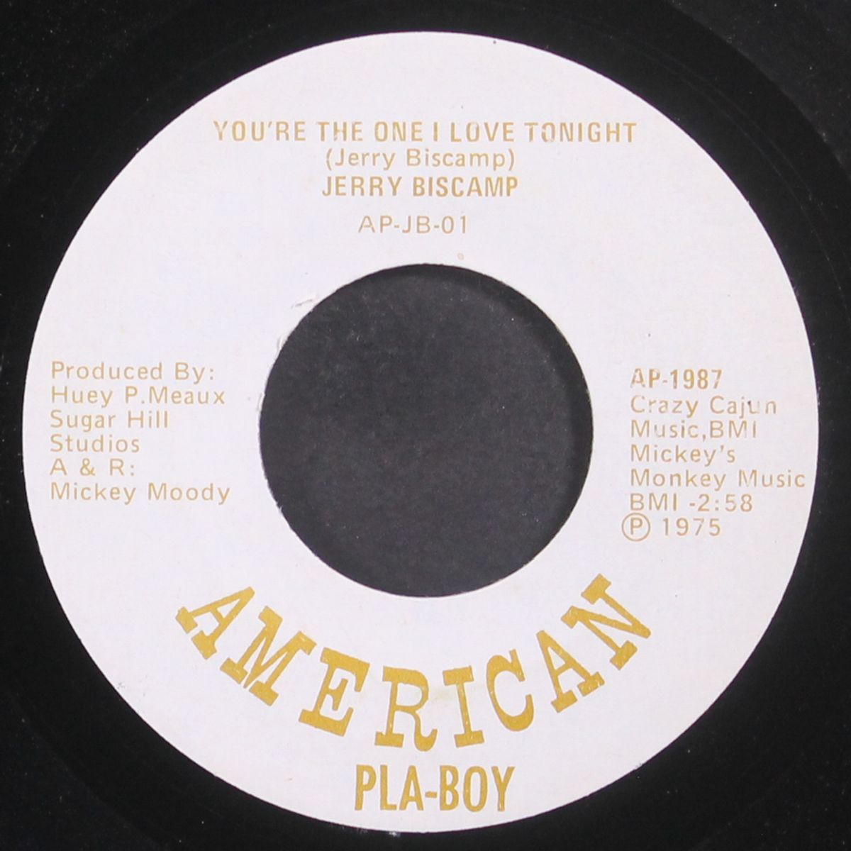 you're the one i love tonight / since baby's back again by JERRY BISCAMP