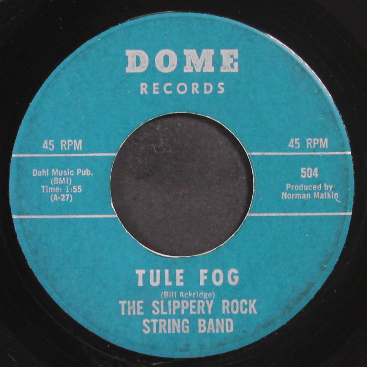 tule fog / sally brought him home by SLIPPERY ROCK STRING BAND