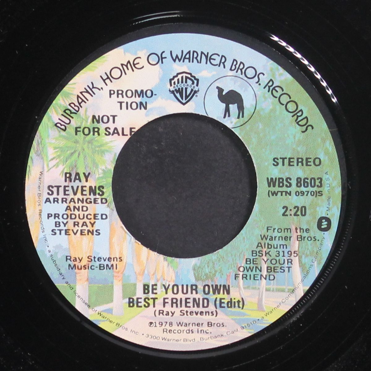 be your own best friend by RAY STEVENS
