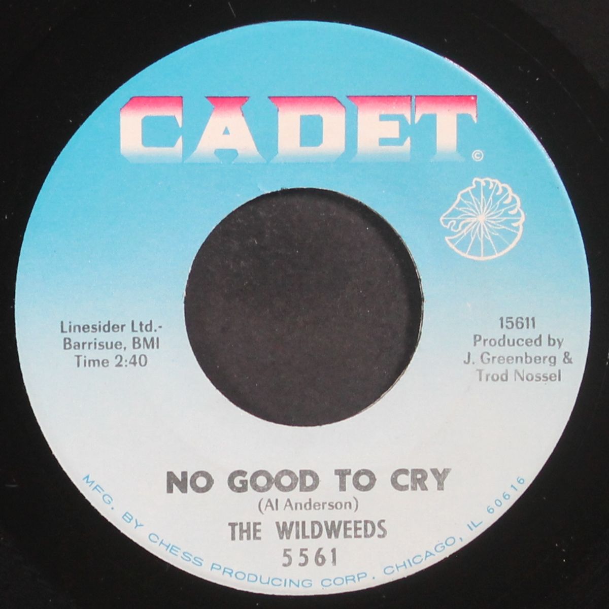no good to cry / never mind by WILDWEEDS