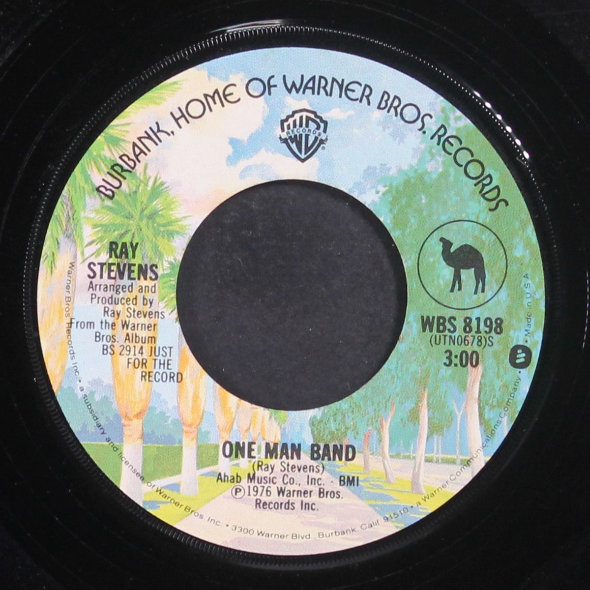 you are so beautiful / one man band by RAY STEVENS