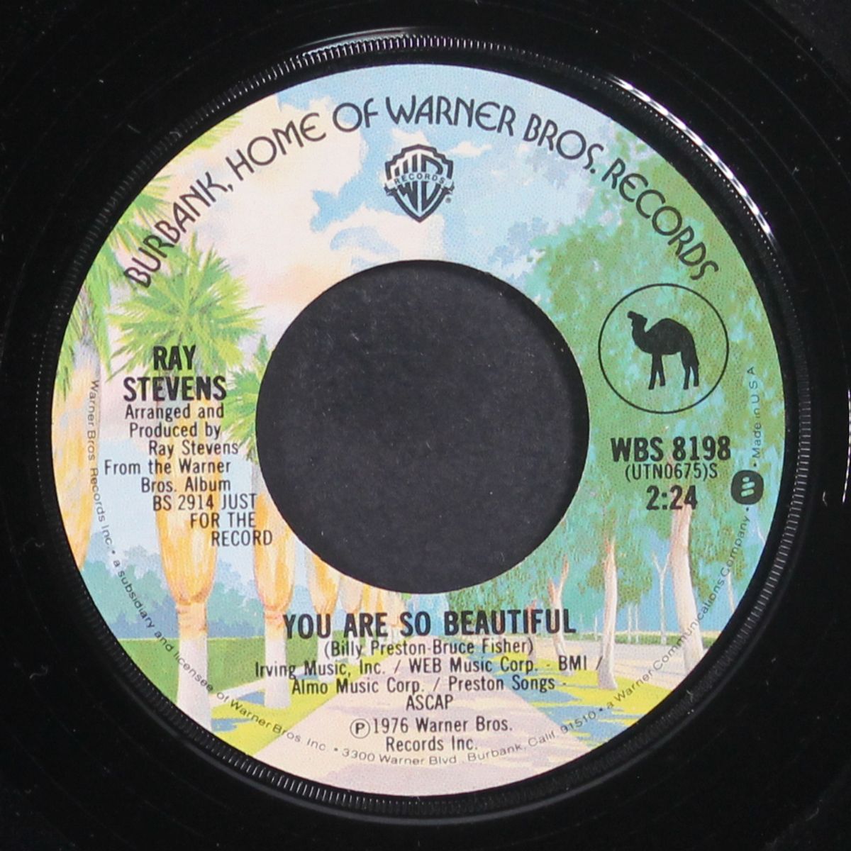 you are so beautiful / one man band by RAY STEVENS