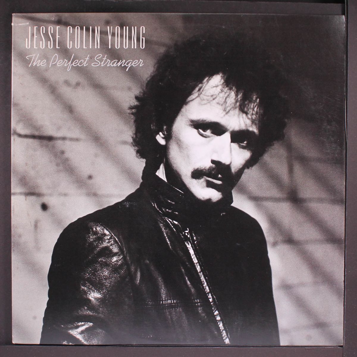 the perfect stranger by JESSE COLIN YOUNG