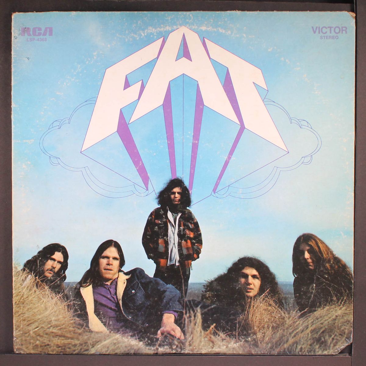 fat by FAT