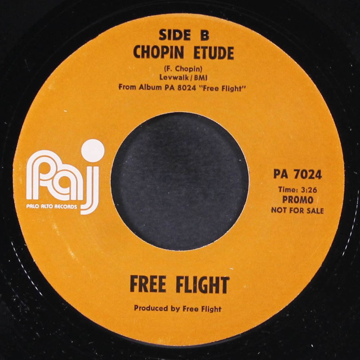 pachelbel canon / chopin etude by FREE FLIGHT
