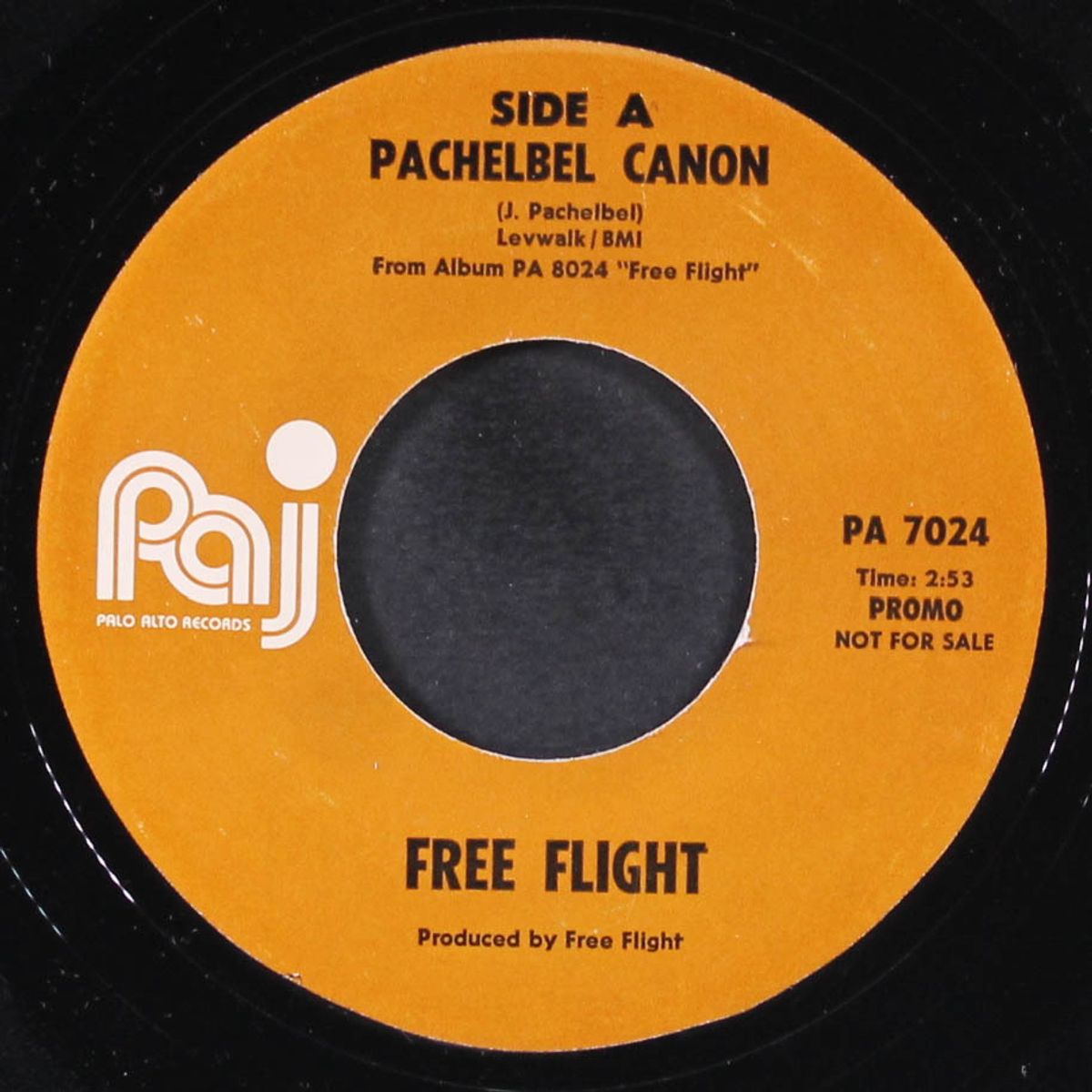 pachelbel canon / chopin etude by FREE FLIGHT