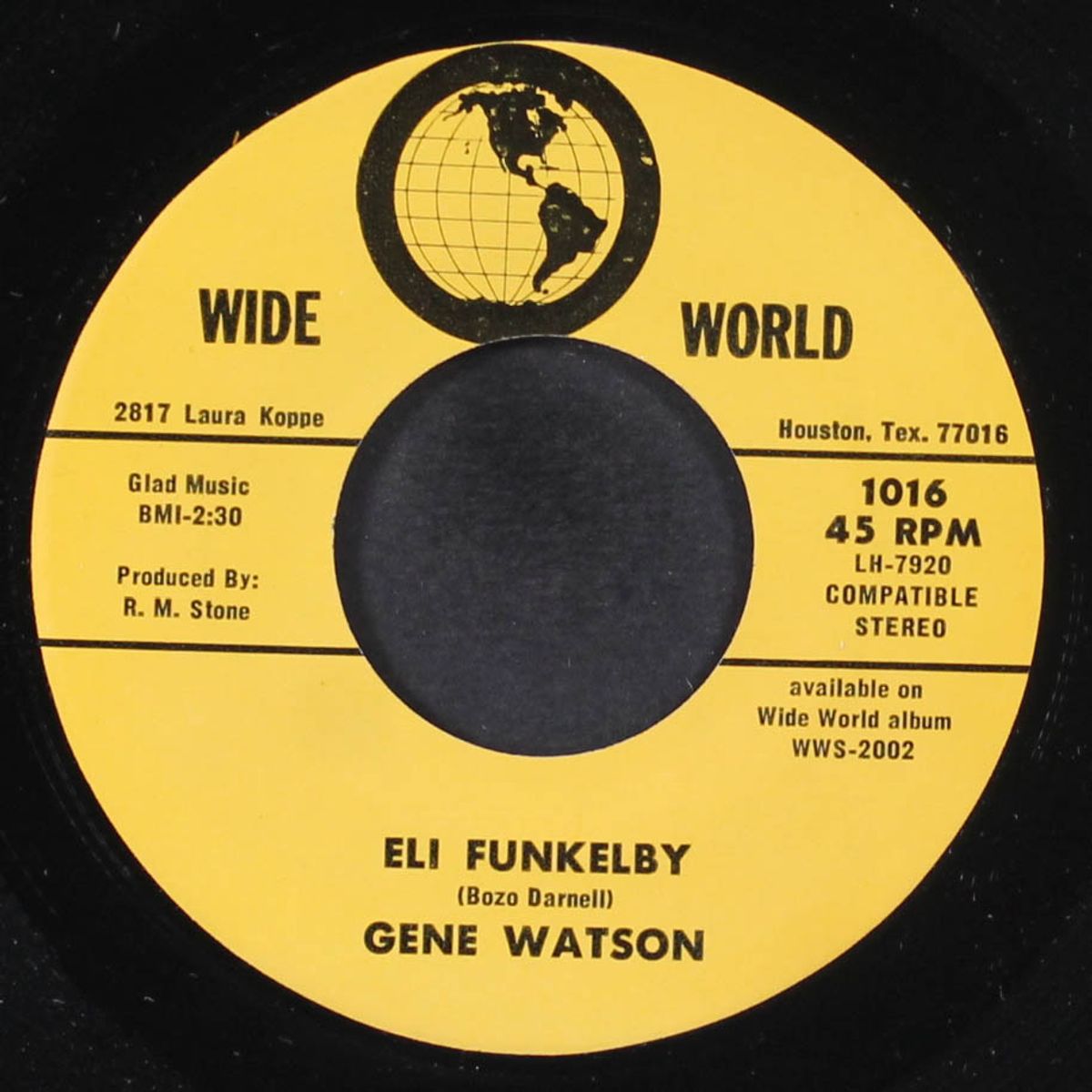 when my daddy danced / eli funkelby by GENE WATSON