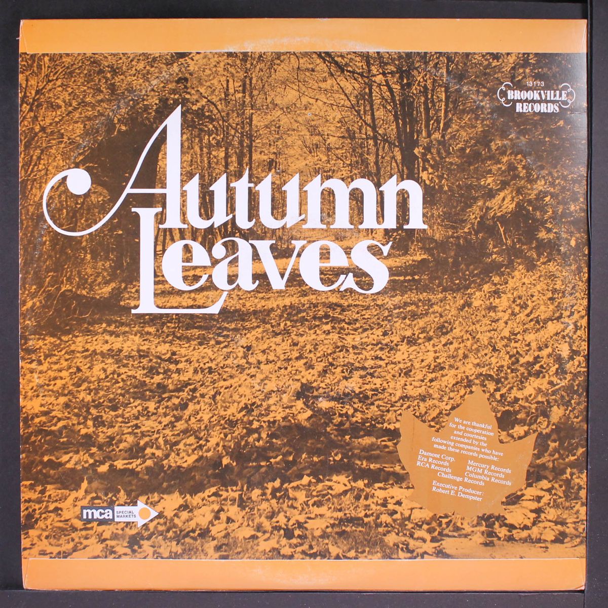 autumn leaves by VARIOUS