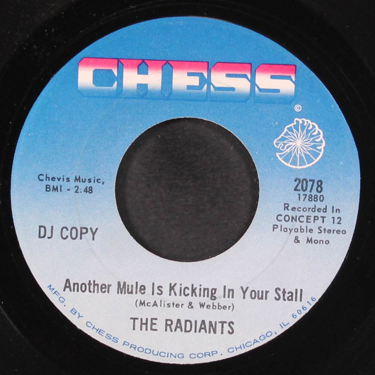 book of love / another mule is kicking in your stall by RADIANTS