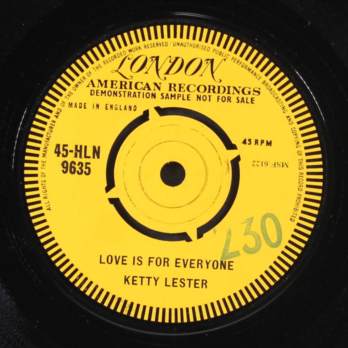 this land is your land / love is for everyone by KETTY LESTER