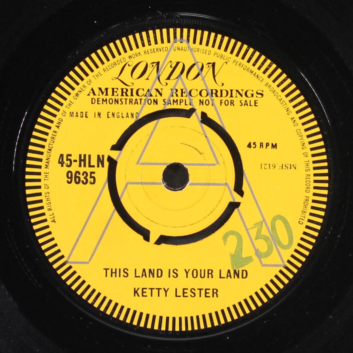 this land is your land / love is for everyone by KETTY LESTER