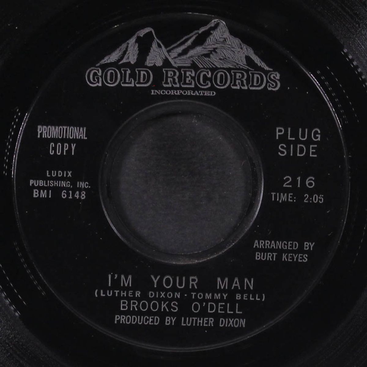 i'm your man / shirley, remember me by BROOKS O'DELL