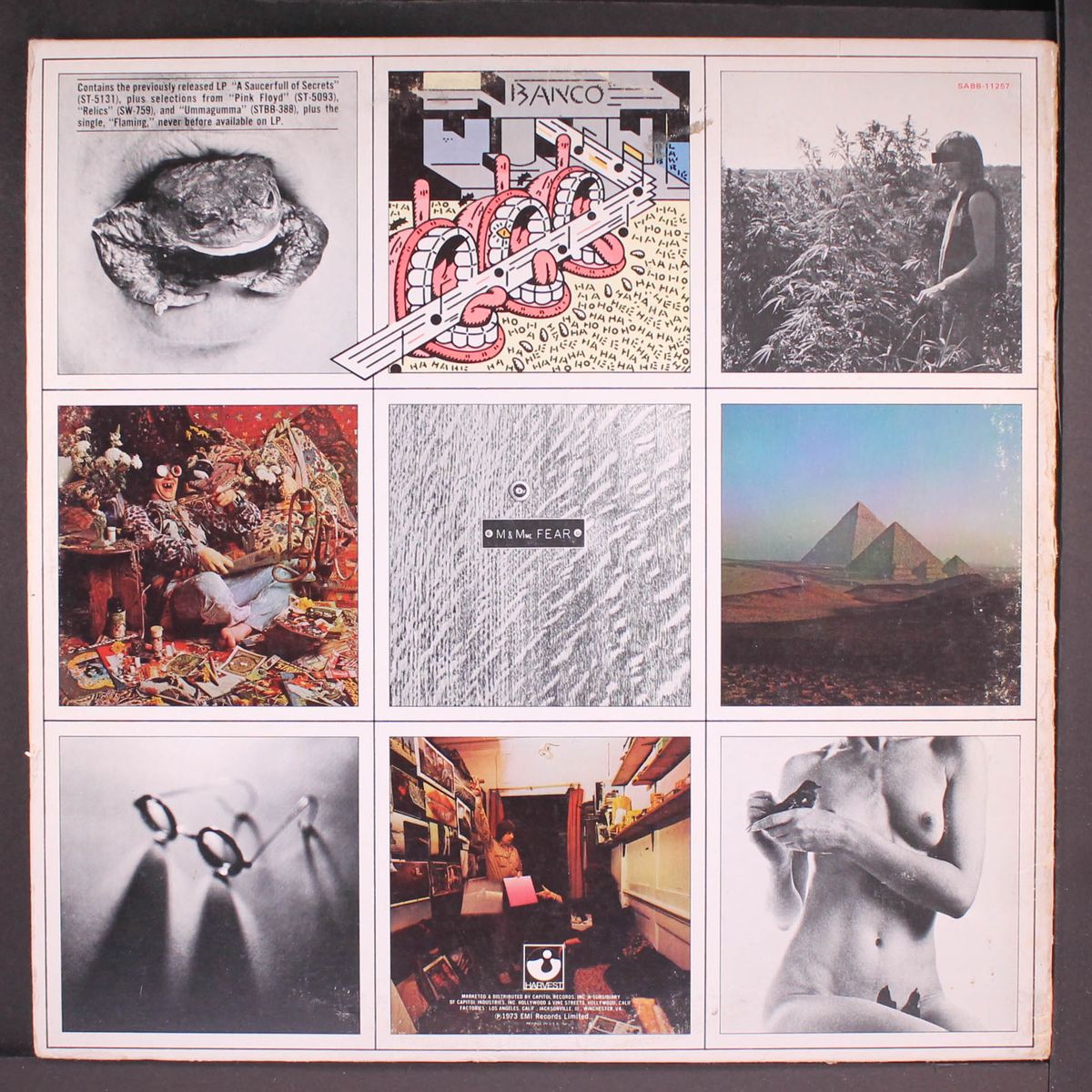 a nice pair by PINK FLOYD
