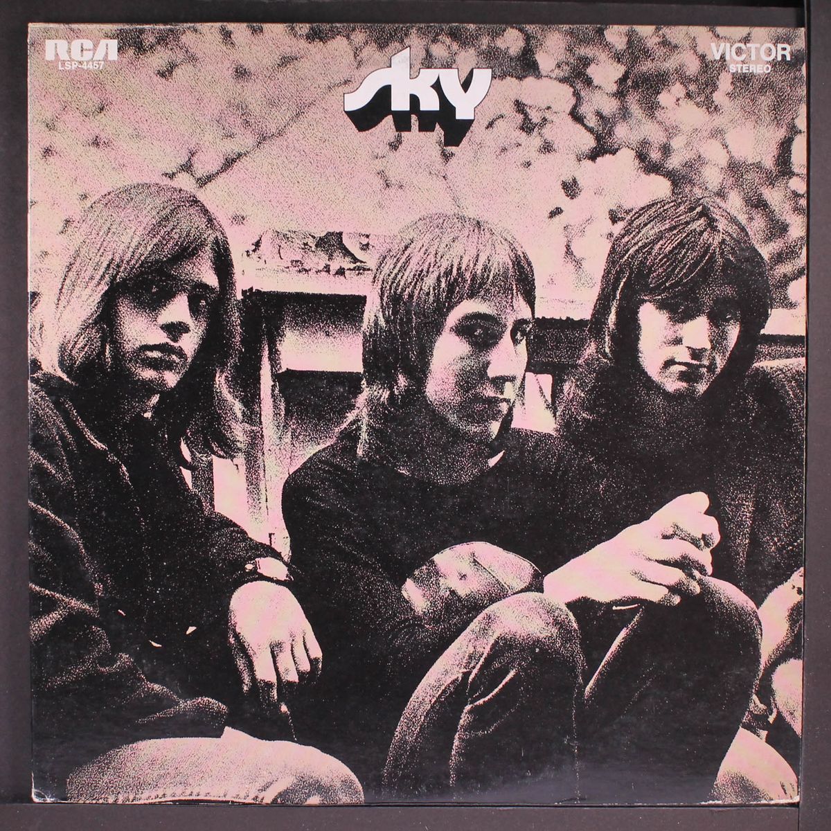 sky (don't hold back) by SKY